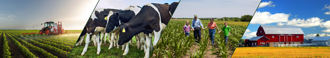 Agriculture & Farming Insurance image